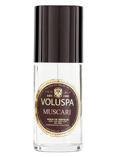Muscari - موسکاری