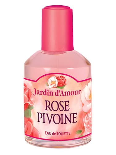 Rose Pivoine - رز پیوون
