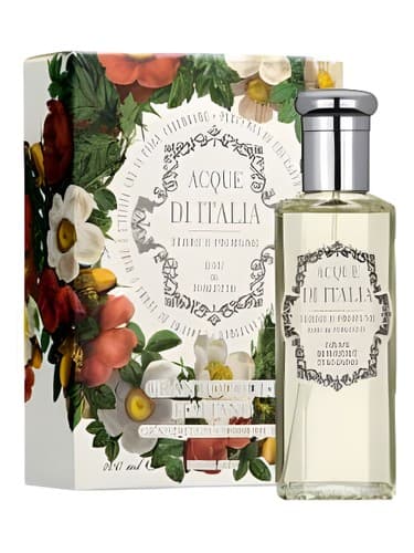 Gran Bouquet Italiano - دسته گل گران ایتالیانو