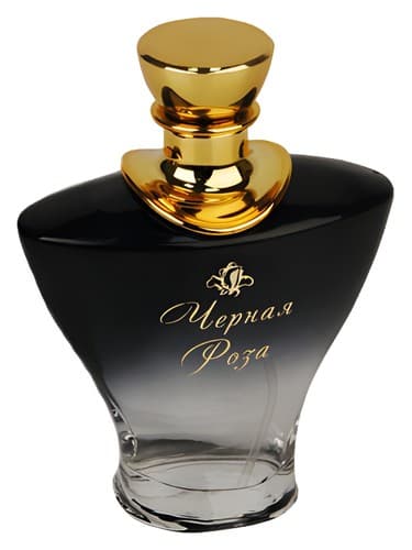 Black Rose (Черная Роза)