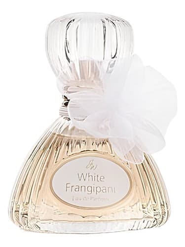 White Frangipani - فرانگی پینی وایت