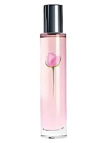 Sheer Rose