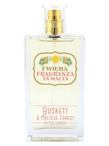 Buskett - باسکت