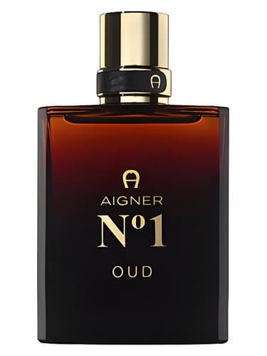 Aigner N°1 Oud 