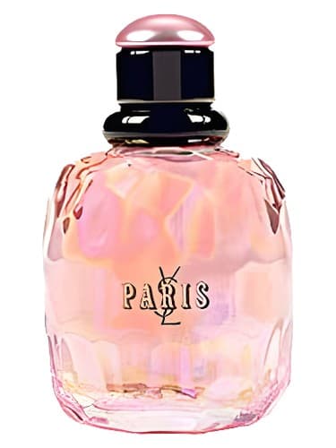 Paris Pont des Amours - پاریس Pont des Amours