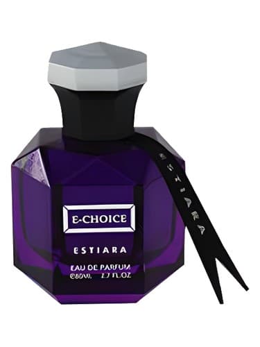 E-Choice