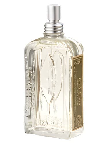 Verveine - وروین