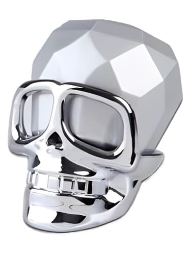 Captain Silver