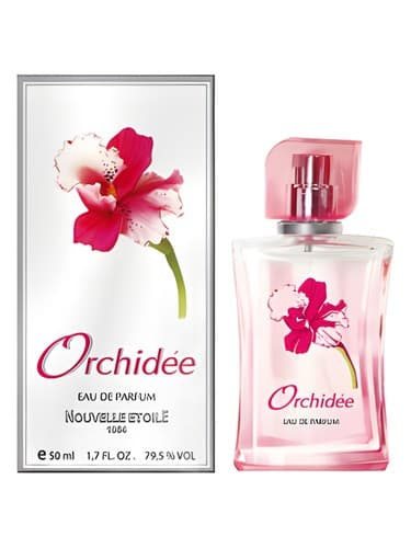 Orchidee