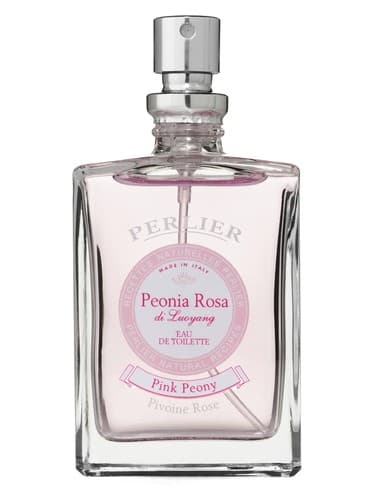 Peonia Rosa