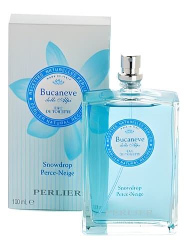 Bucaneve (Snowdrop) - Bucaneve (قطره برفی)
