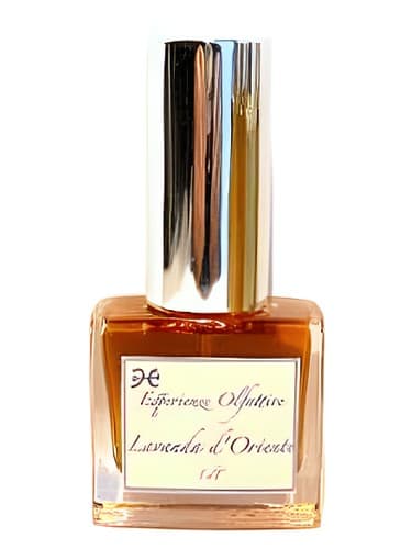 Lavanda d'Oriente