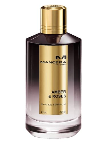 Amber & Roses