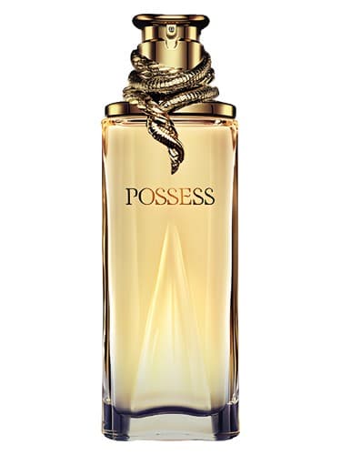 Possess - در اختیار داشتن
