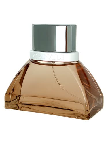 Canali Men - مردان کانالی