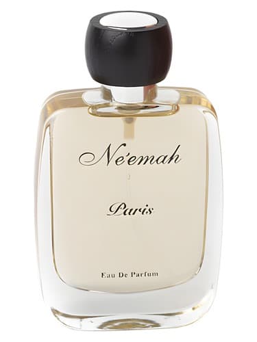 Paris - پاریس