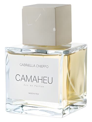 Camaheu - کاماهو