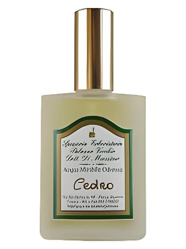 Cedro