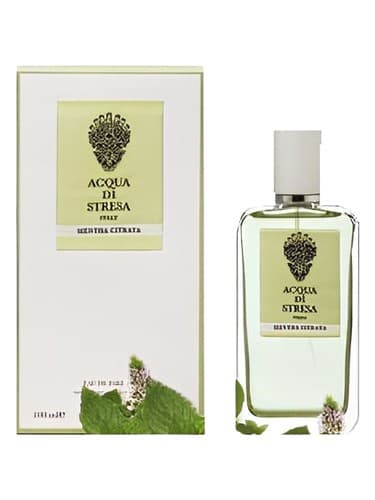 Mentha Citrata - منتا سیتراتا