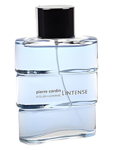 Pierre Cardin pour Homme l'Intense 