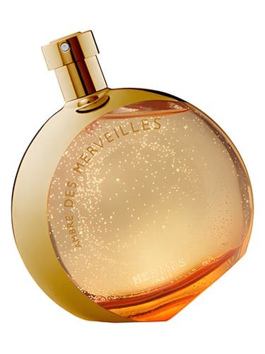 L'Ambre des Merveilles Limited Edition Collector - کلکسیونر L'Ambre des Merveilles Limited Edition