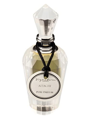 Attache - ضمیمه کنید