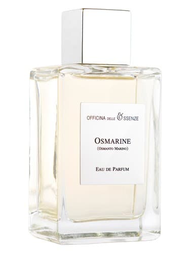Osmarine (Osmanto Marino) 