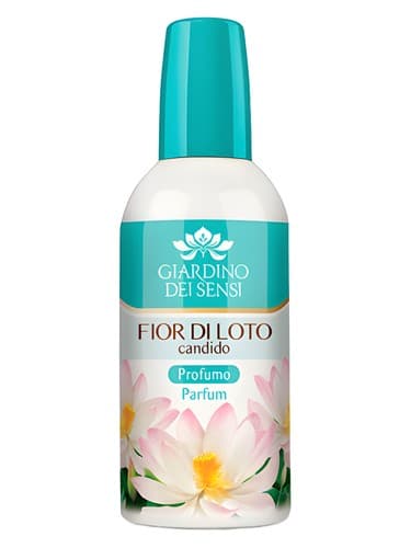 Fior di Loto Candido