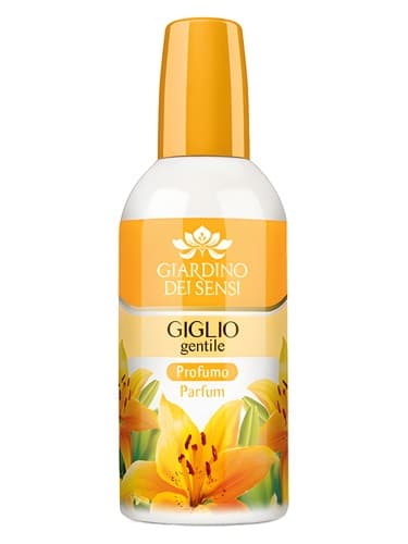 Giglio Gentile - جیلیو جنتیله