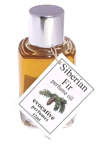 Siberian Fir - صنوبر سیبری