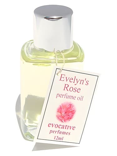 Evelyn's Rose - رز اولین