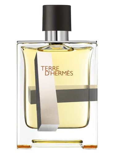 Terre d'Hermes Perspective - دیدگاه Terre d'Hermes