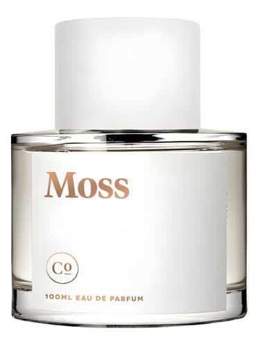 Moss - خزه
