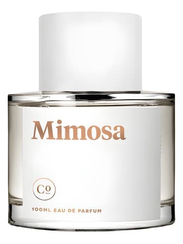 Mimosa - میموزا