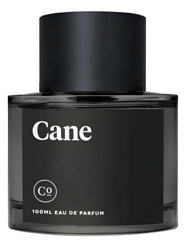 Cane - عصا