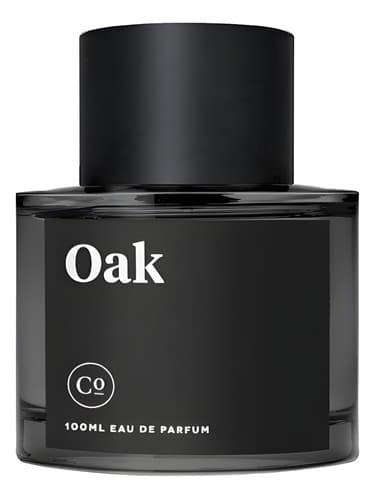 Oak - بلوط