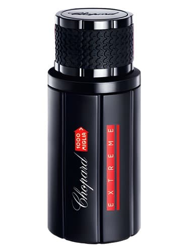 1000 Miglia Extreme 