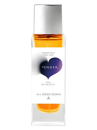 Tender - مناقصه