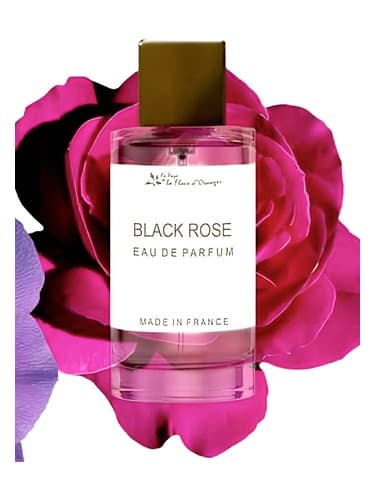 Black Rose - رز بلک