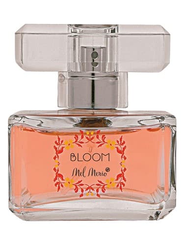 Bloom