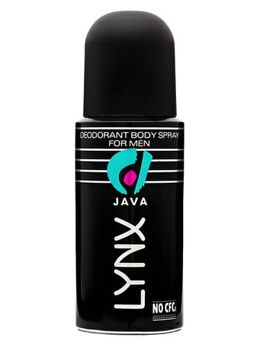 Java