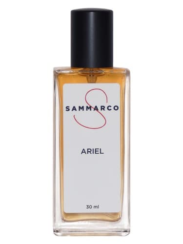 Ariel - آریل