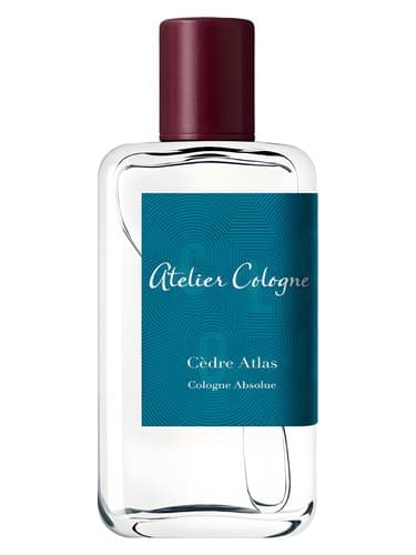 Cedre Atlas - سدره اطلس