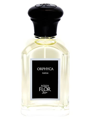 Orphyca - ارفیکا