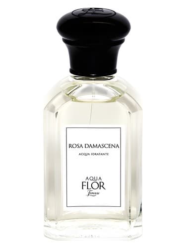 Rosa Damascena