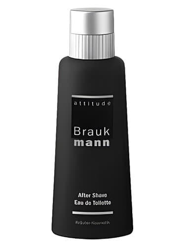 Braukmann Attitude - نگرش براکمن