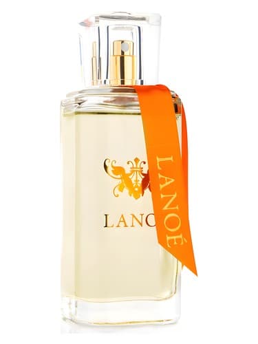 No. 7 - شماره 7