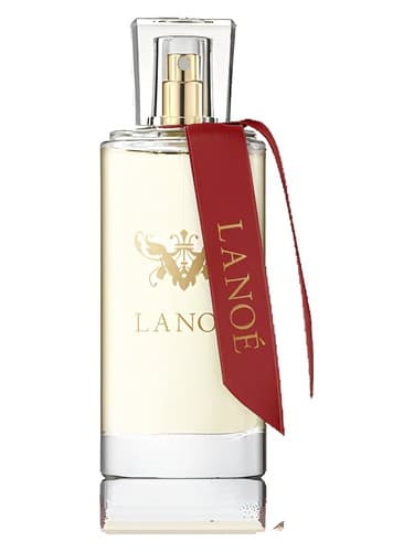 No. 8 - شماره 8