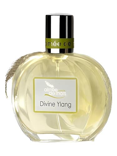 Divine Ylang  