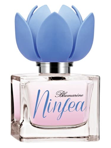 Ninfea 